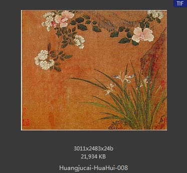 黄居寀 花卉