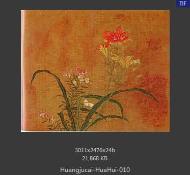 黄居寀 花卉