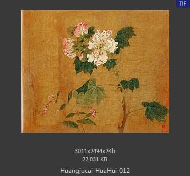 黄居寀 花卉