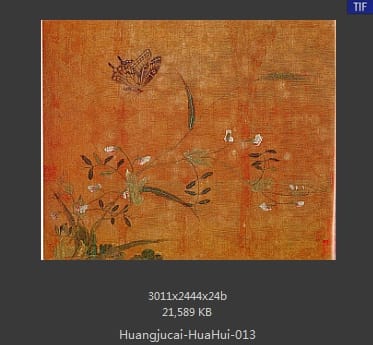 黄居寀 花卉