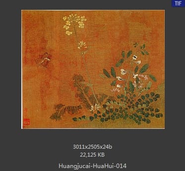 黄居寀 花卉