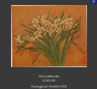 黄居寀 花卉