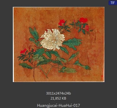 黄居寀 花卉
