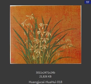 黄居寀 花卉