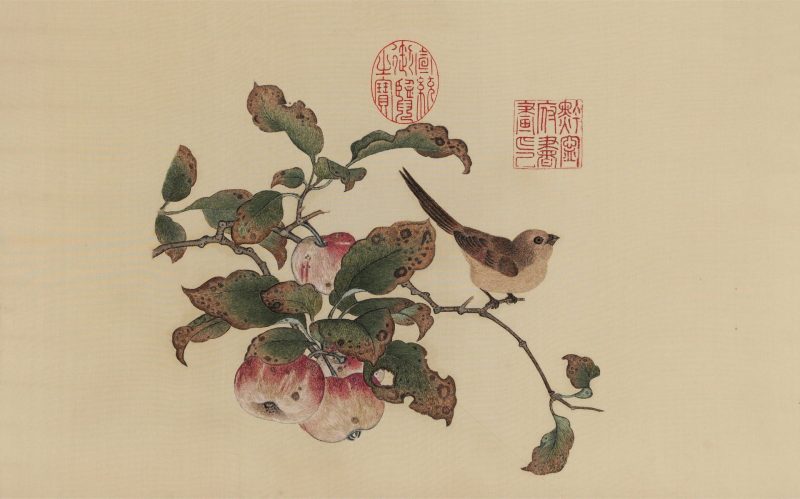 苹婆山鸟图