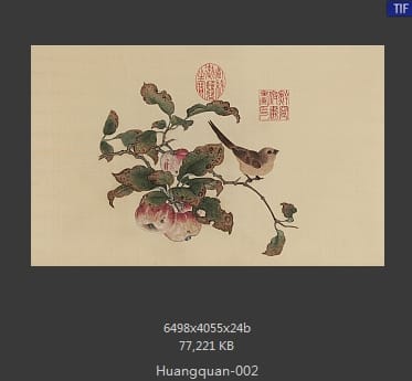 黄筌 苹婆山鸟图