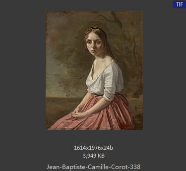 卡米耶·柯罗 Camille Corot