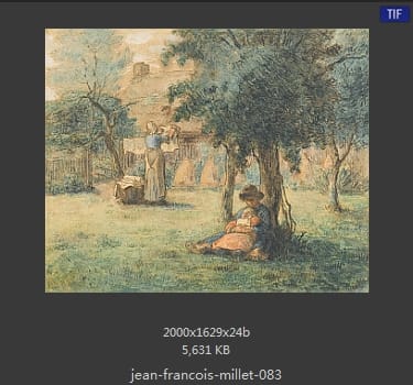 让·弗朗索瓦·米勒 Jean-Francois Millet