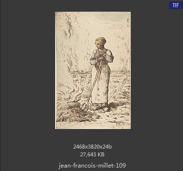 让·弗朗索瓦·米勒 Jean-Francois Millet