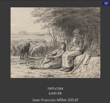 让·弗朗索瓦·米勒 Jean-Francois Millet