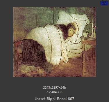 Jozsef Rippl-Ronai