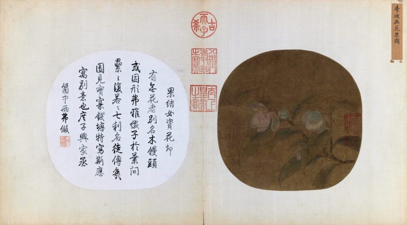 无花果图