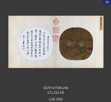 李迪 无花果图