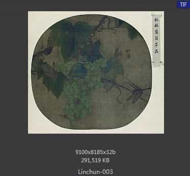 林椿-葡萄草虫图