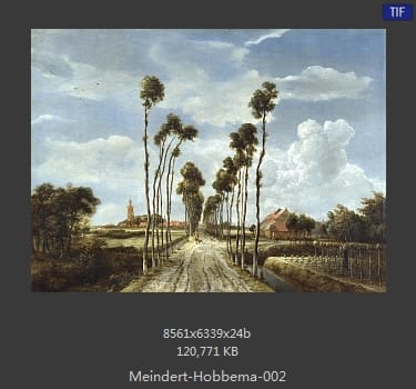 梅因德尔特·霍贝玛 Meindert Hobbema