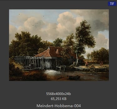 梅因德尔特·霍贝玛 Meindert Hobbema
