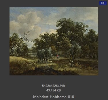 梅因德尔特·霍贝玛 Meindert Hobbema