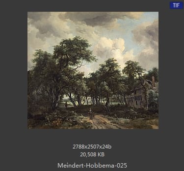 梅因德尔特·霍贝玛 Meindert Hobbema