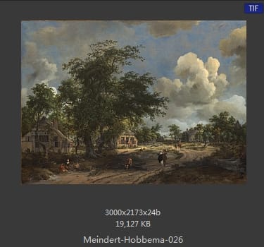 梅因德尔特·霍贝玛 Meindert Hobbema