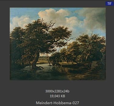 梅因德尔特·霍贝玛 Meindert Hobbema