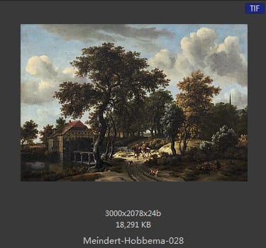 梅因德尔特·霍贝玛 Meindert Hobbema