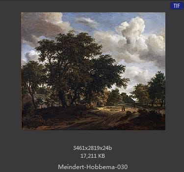 梅因德尔特·霍贝玛 Meindert Hobbema