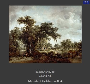 梅因德尔特·霍贝玛 Meindert Hobbema