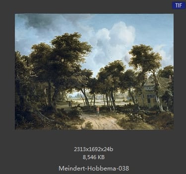 梅因德尔特·霍贝玛 Meindert Hobbema