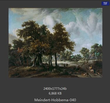 梅因德尔特·霍贝玛 Meindert Hobbema