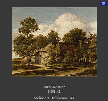 梅因德尔特·霍贝玛 Meindert Hobbema