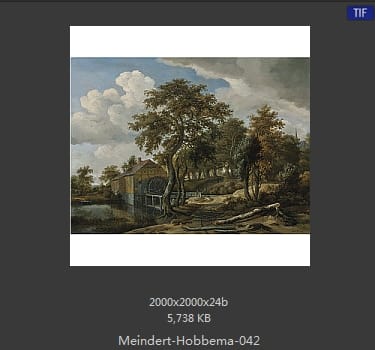 梅因德尔特·霍贝玛 Meindert Hobbema