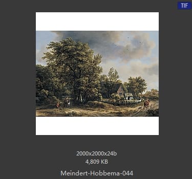 梅因德尔特·霍贝玛 Meindert Hobbema