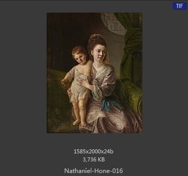纳撒尼尔·霍恩 Nathaniel Hone