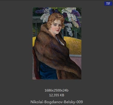  尼古拉·博格达诺夫·贝尔斯基(Nikolay Bogdanov-Belsky)