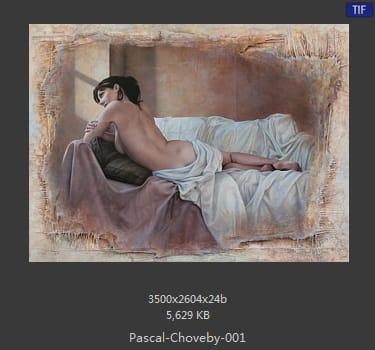 帕斯卡·乔维比 Pascal Choveby