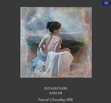 帕斯卡·乔维比 Pascal Choveby