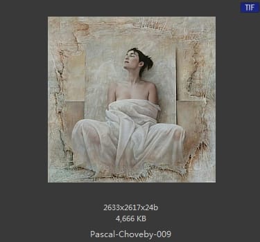 帕斯卡·乔维比 Pascal Choveby