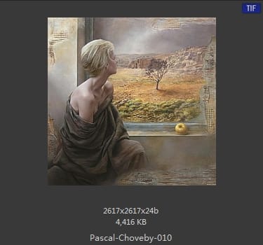 帕斯卡·乔维比 Pascal Choveby