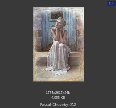 帕斯卡·乔维比 Pascal Choveby