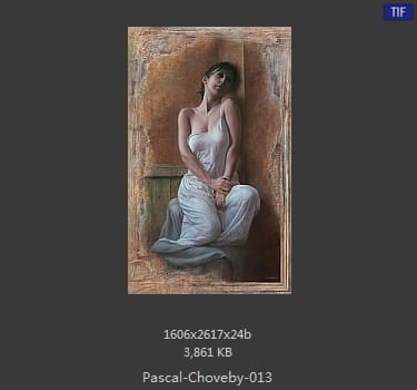 帕斯卡·乔维比 Pascal Choveby