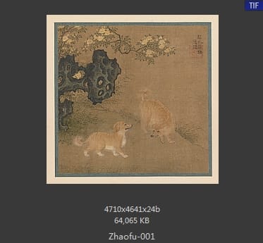 赵福