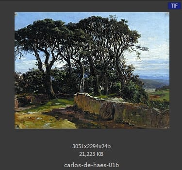 Carlos de Haes 卡洛斯·德·海斯