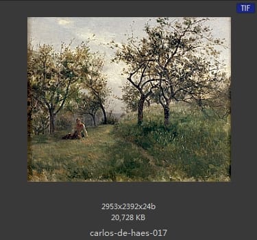 Carlos de Haes 卡洛斯·德·海斯