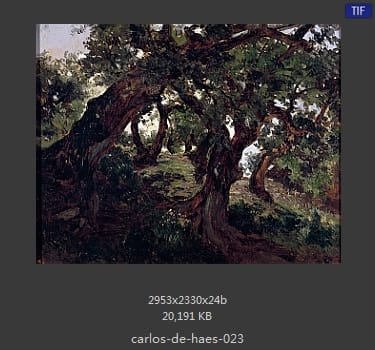 Carlos de Haes 卡洛斯·德·海斯