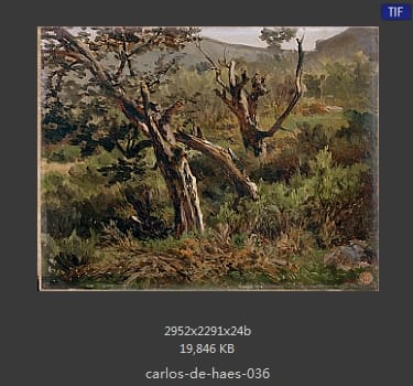 Carlos de Haes 卡洛斯·德·海斯