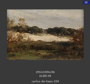 Carlos de Haes 卡洛斯·德·海斯