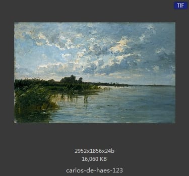 Carlos de Haes 卡洛斯·德·海斯