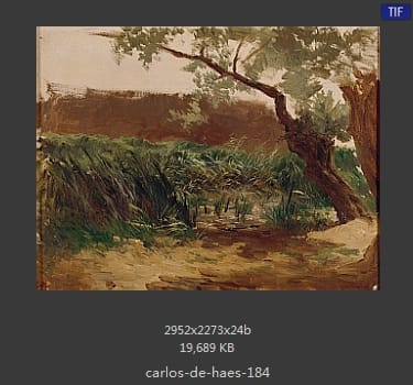 Carlos de Haes 卡洛斯·德·海斯