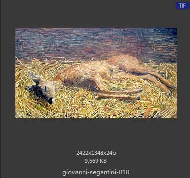 乔凡尼·塞冈提尼 Giovanni Segantini