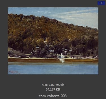 汤姆·罗伯茨 Tom Roberts